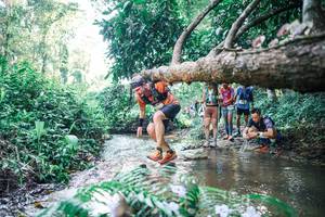 BIB: 
                            <button type="button" onclick="openModal(25442317)" class="btn btn-primary btn-sm float-right btn-popup" data-toggle="modal" data-target=".modal-high-quality">
                        <i class="fas fa-shopping-cart"></i> Add to Cart
                    </button>
                                            <button type="button" onclick="isThisMe(25442317, true)" class="btn btn-success btn-sm float-right btn-popup btn-isme hidden" data-toggle="tooltip" data-placement="bottom" title="นี่คือรูปของคุณใช่ไหม คลิกที่นี่เพื่อเอาเข้าอัลบั้ม">
                        <i class="fas fa-plus"></i> Add to album
                    </button>
                    <button type="button" onclick="isThisMe(25442317, false)" class="btn btn-warning btn-sm float-right btn-popup btn-isnotme hidden">
                        <i class="fas fa-ban"></i> Remove from album
                    </button>